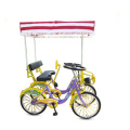 High quality Single row surrey bike/for 2 person with roof/2 person tandem bike